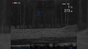 Pulsar Digisight Ultra N455 LRF. Обзор, наблюдение за животными.