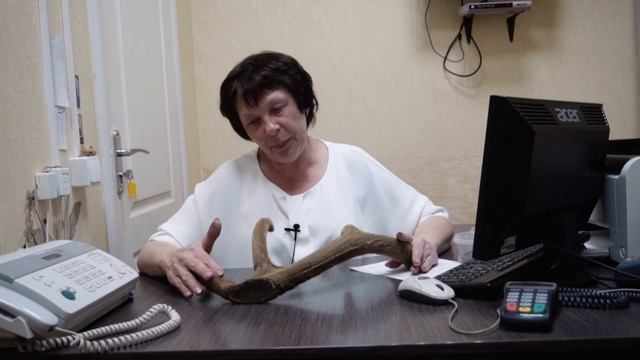 Технология создания пантовой муки и слайсов l Оленья Застава смотреть онлайн