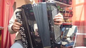 Баян Ясная Поляна (ТУЛЯК)