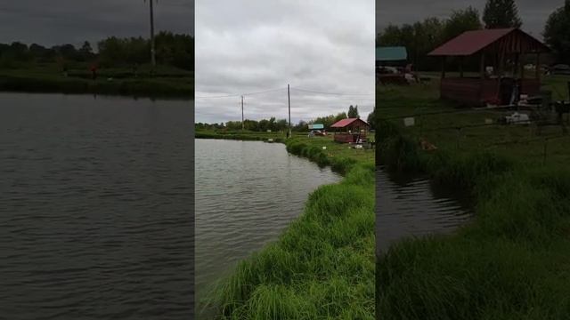 Рыбное хозяйство Ива, Исетский район