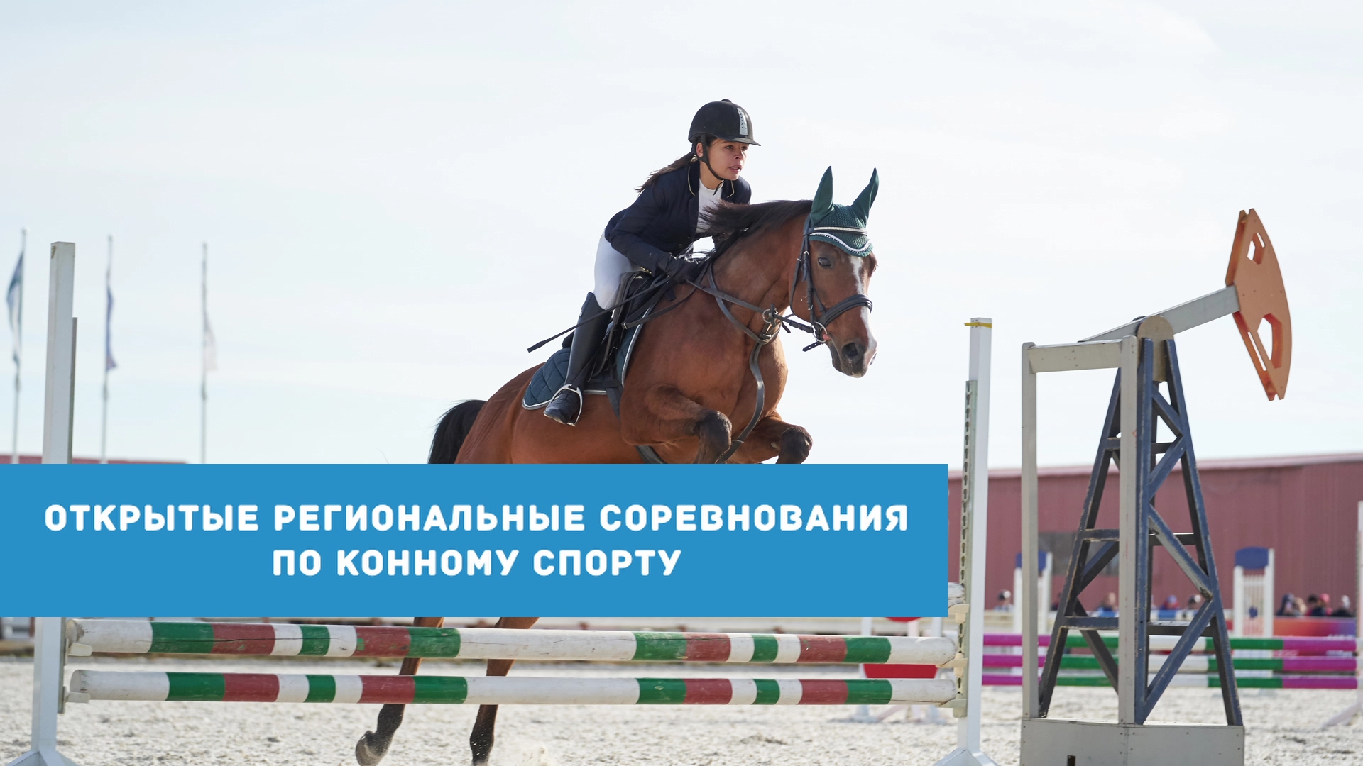 В Ханты-Мансийске пройдут Открытые региональные соревнования по конному спорту смотреть онлайн