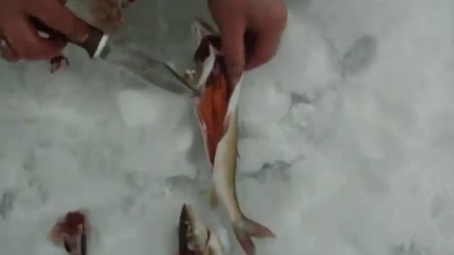 За два часа хариус на уху смотреть онлайн