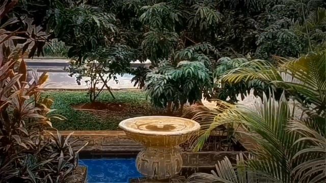 Цветы и камни смотреть онлайн