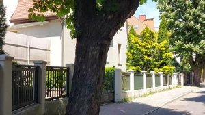 Утренняя прогулка. Свидница Польша