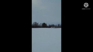 тайга патруль 800swt. это вам не варяг!!!