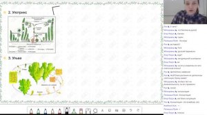 Биология. ЕГЭ2021. Водоросли