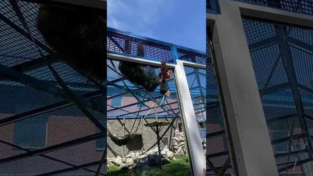 ОБЗОР НОВОСИБИРСКОГО ЗООПАРКА ИМЕНИ Р.А. ШИЛО смотреть онлайн