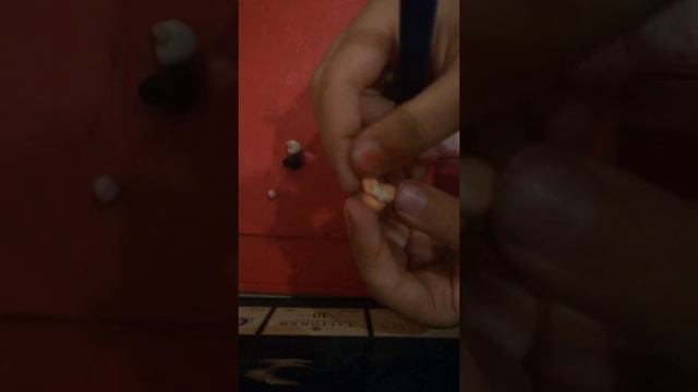 пластилин. хомяк. смотреть онлайн