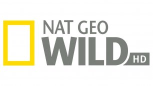 Прямой эфир National Geographic Wild HD