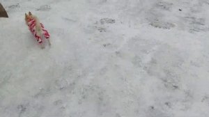 Ужасное Качество/Наполнитель в ПОДУШКАХ Скомкался, ПРОСТЫМ СПОСОБОМ ВОССТАНОВИЛА ПОДУШКИ.
