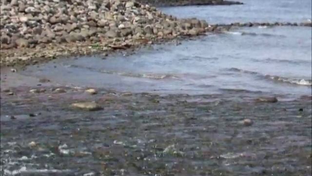 ПЕТЕРГОФ ФОНТАНЫ и детские радости смотреть онлайн