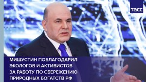 Мишустин поблагодарил экологов и активистов за работу по сбережению природных богатств РФ
