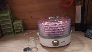 Вяленые помидоры в сушилке Kitfort KT-1902