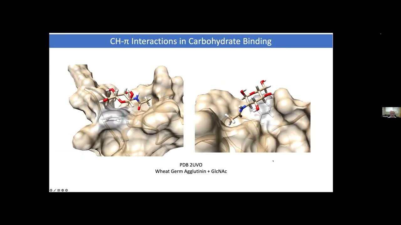 AUTOMATING THE RATIONAL DESIGN OF GLYCOMIMETIC DRUGS