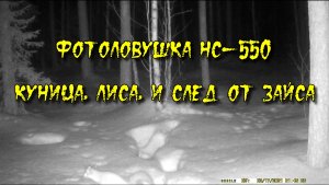 Фотоловушка зима-весна 2021. Suntek HC-550 (Филин 120)