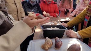 Удивительная улиточная ферма! Пробуем улитки! #ratov #улиткибеларусь