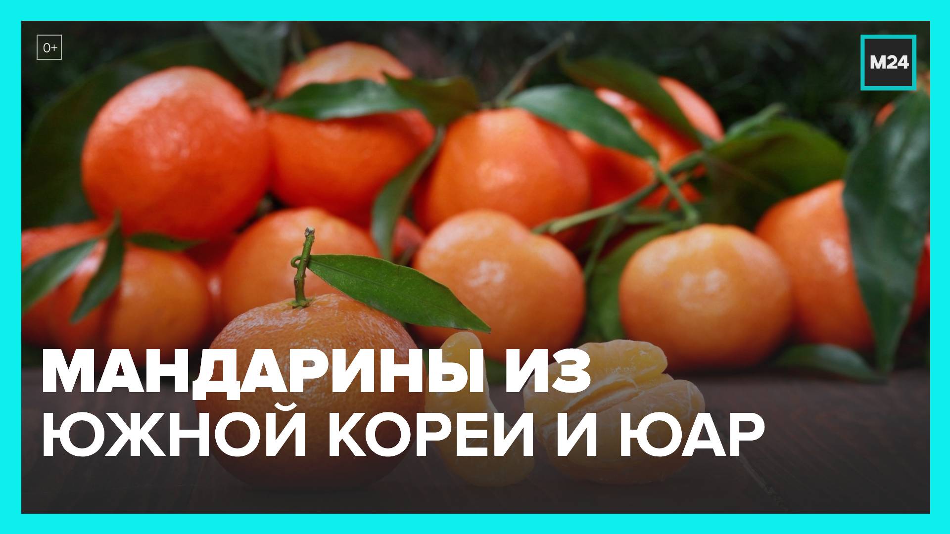 Мандарины из Южной Кореи и ЮАР появились на столичных прилавках - Москва 24