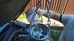 Раскоксовка. Корова. Сквид. начало процесса.