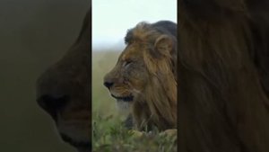 Халид ибн Валид, самый мужественный и храбрый