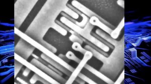 Кремниевая жизнь существует