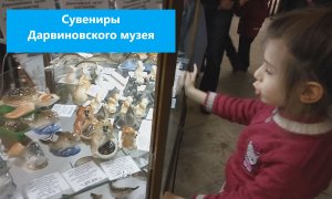 СУВЕНИРЫ ДАРВИНОВСКОГО МУЗЕЯ..mp4