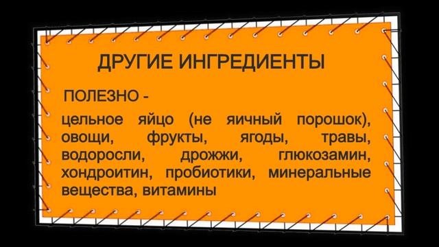 #14 Как выбрать сухой корм для собаки и не ошибиться в выборе?