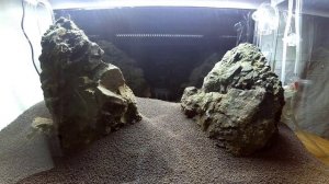 Оформление моего аквариума 60 л. Часть 1. Несколько советов по запуску аквариума для начинающих