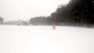 фризби вебстайл 2016 Аусси Фанта