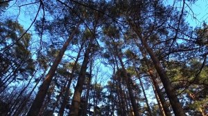 Уединились с женой в автодоме в глуши! / В чем прелесть дома на колесах 4х4?