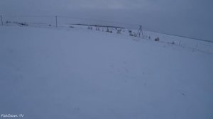 ТРОПЛЕНИЕ ЗАЙЦА на ЛЫЖАХ 2022! Охота на зайца с ПАПОЙ! Hunting of the hare!