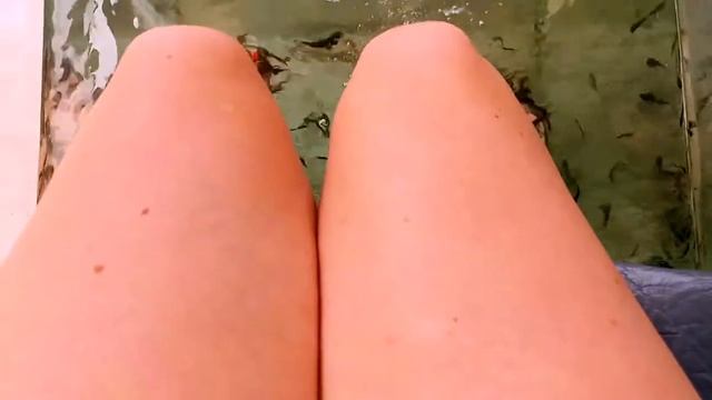 Попробовали фишпилинг смотреть онлайн