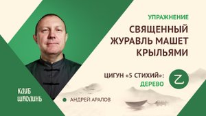 Комплекс цигун 5ти стихий. Упражнение 2. Священный журавль машет крыльями. А.В.Аралов.