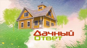 Греющие окна в проекте "Дачного ответа" на НТВ