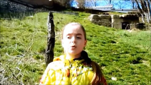 Козловская Алина о подвиге Степана Погодаева