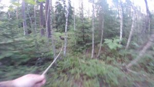 Кровяной след. Натаска.