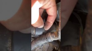 Проблема корпуса термостат на Volvo S80 (2G)