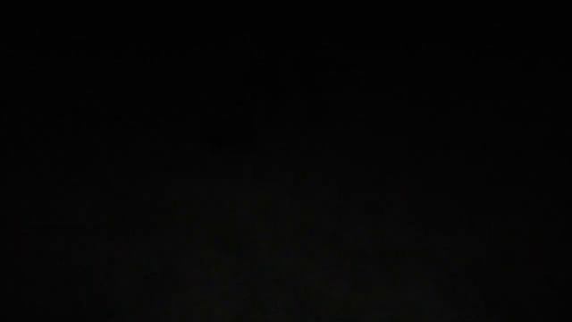 Вео, парсон рассел терьер, доберман. смотреть онлайн