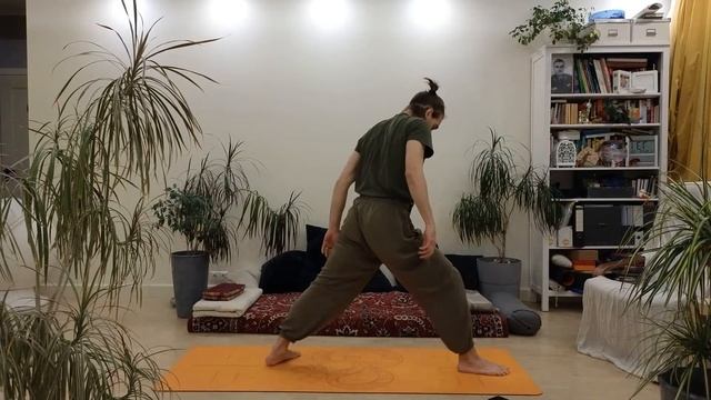 Хатха-йога, 1-час, вечерняя практика