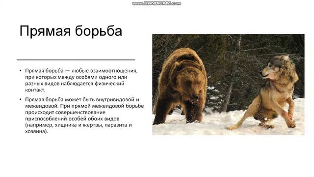 7, 10 класс. Борьба за существование и естественный отбор