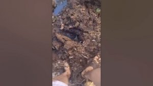 У Этих Людей Выдался День Явно Похуже Вашего
