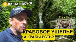Влог #68. Лазаревское 2020: прогулка по Крабовому ущелью