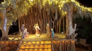 Новый год и Рождество в Египте. Где провести новогодние праздники 2020. Египет зимой.