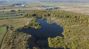 Пролёт на дроне над озером Кирчим. Тюмень. DJI Mini 2