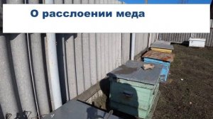 Как правильно хранить МЁД годами. Температура хранения, расслоение МЁДА