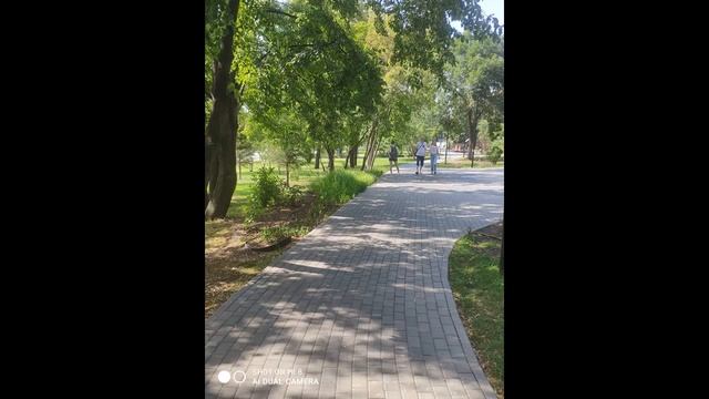 Михайловская набережная.  Новосибирск. АНОНС.