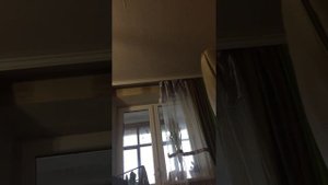 Вызов смайл дога 2