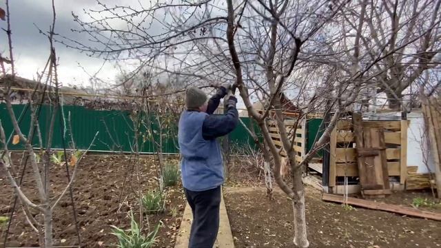 Огородный декабрьский ВЛОГ. Чему бы грабли не учили, а сердце ? верит в чудеса ? смотреть онлайн