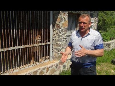 Направления деятельности фермерского хозяйства фортуна. Агро-Тур по Украине