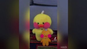Уточки лала фанфан из тик тока?