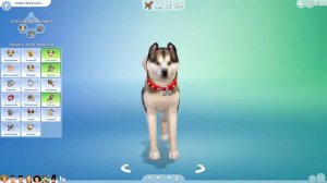 THE SIMS 4 КОШКИ И СОБАКИ | РЕЖИМ СОЗДАНИЯ ПИТОМЦА + CAS